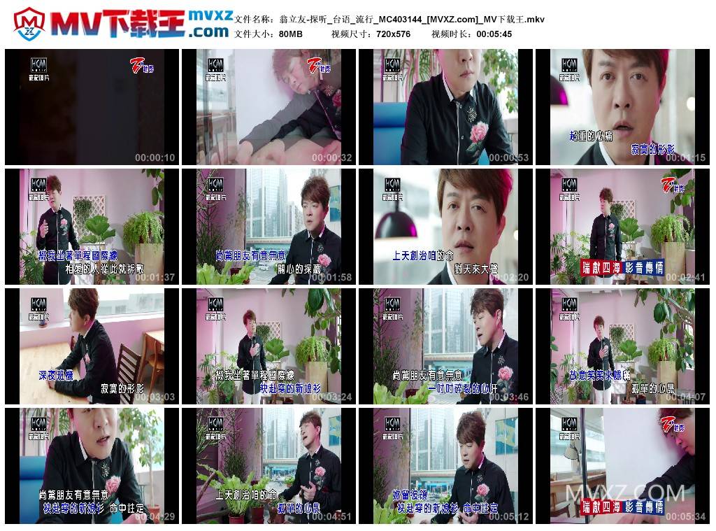翁立友-探听_台语_流行_MC403144